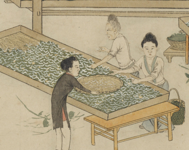 事情进行到布商这一步之前,还有养蚕,缫丝,织布的漫长过程