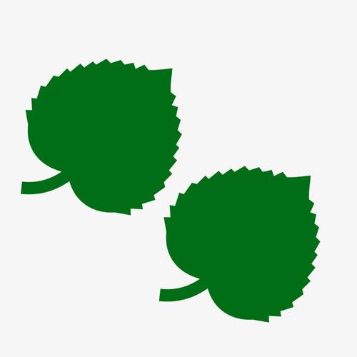 扁平化小树叶,ppt叶子,简约插画小叶子,绿色可爱的叶子,卡通装饰树叶