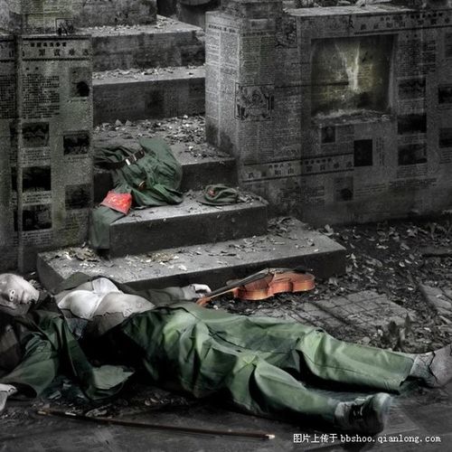 访重庆红卫兵墓园--4.12添加摄影师田太全《遗忘》