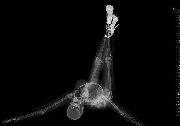 抖音表情包女神在吗我舔狗