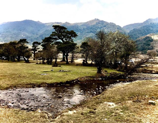 人间仙境一盈江黄草坝