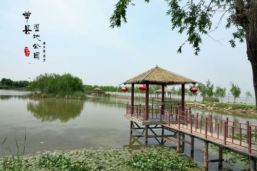 写美篇 《初夏~寻梦纪》 走近单县湿地公园,有很多景点无法停车(路面