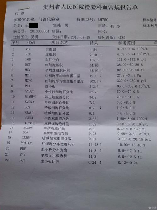 请各位战友帮忙瞧下这个血常规化验单!