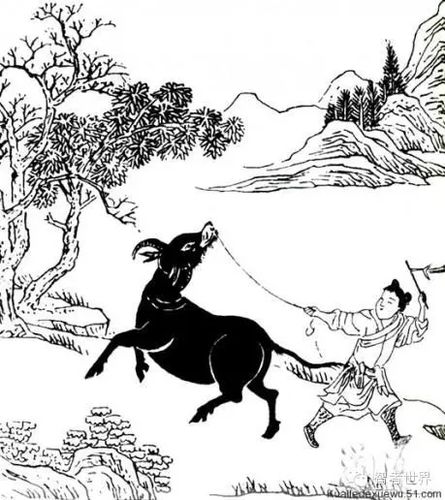 普明禅师《牧牛图颂》_文化资讯__佛教文化网_佛宝网