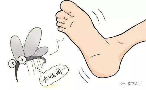 这是一个有味道的答案——化学家揭秘脚臭原因