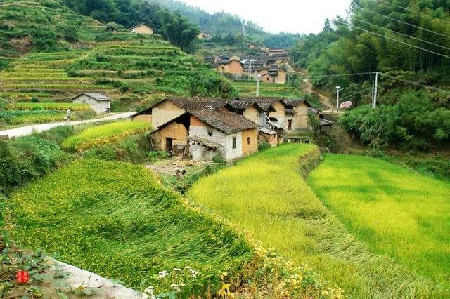 松阳县城→大竹溪村→横岗村→小竹溪村→呈田村→黄庄→大岭头村→后