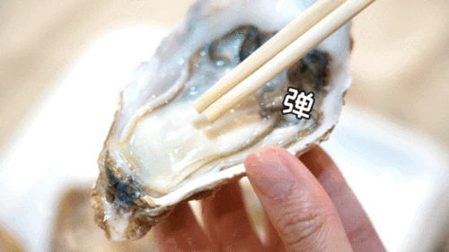 99元吃一大锅生蚝啦平均6毛个就在浦东第①家网红高压锅生蚝店