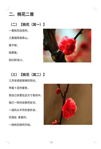 桃花二首