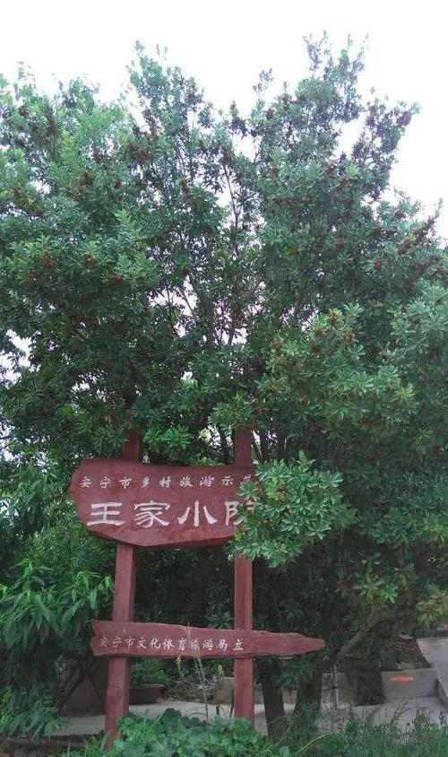 王家小院的特色农家菜让你吃得停不下来!特色篇(一)