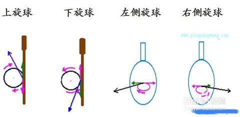 乒乓球左侧旋球的特点乒乓球直拍怎么接左侧旋球视频