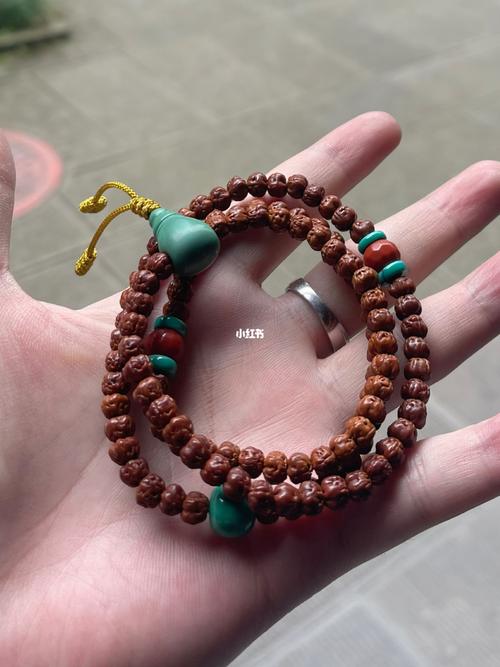 五爪金龙小佛手,没盘花吧