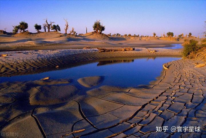 95% 塔里木河从卡拉大西海子水库以下320 km河道 在20世纪70年代干涸