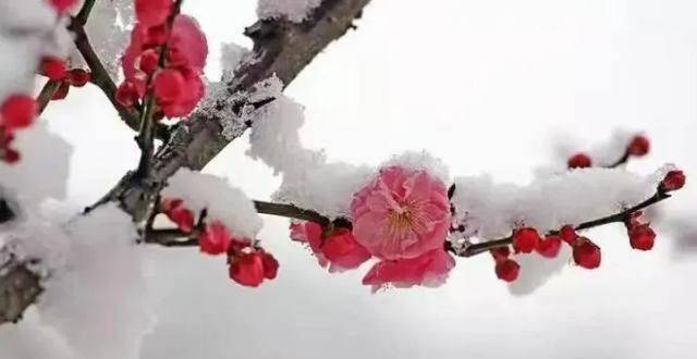 诗歌|赵迅:无题