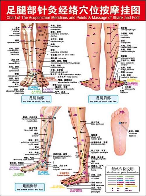 腿部主要有哪些穴位,具体位置在哪里刺激这些穴位分别