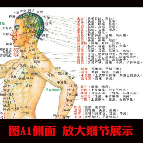 家用海报对照高清病症经络穴位挂画