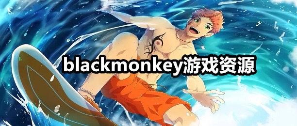 blackmonkey游戏资源