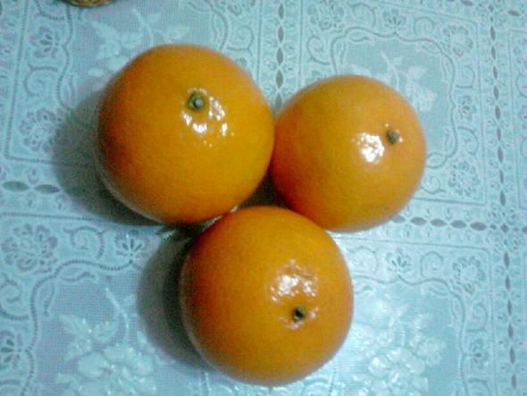 皇帝柑亮噌噌的