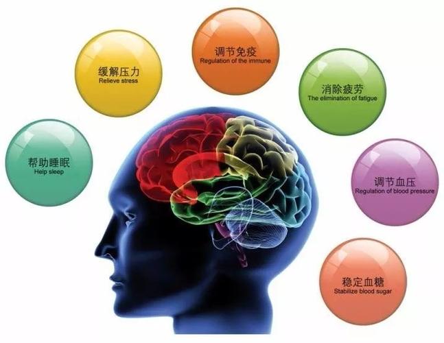 美乐家易舒宁果味饮料的作用,功效,价格,主要成份详细