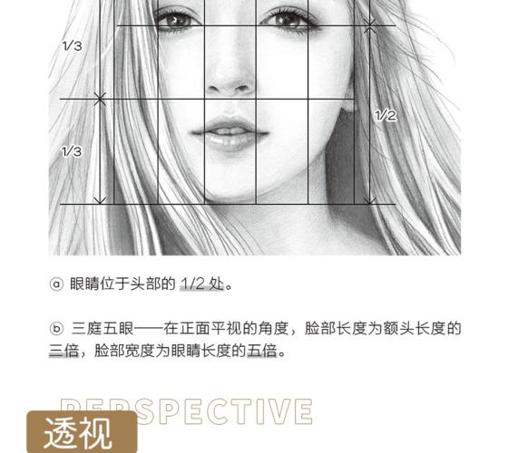 正版美人绘铅笔人物画入门飞乐鸟零基础学素描铅笔画教程手绘
