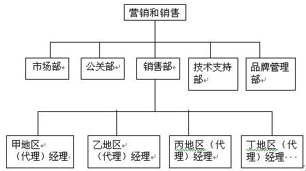 销售系统组织结构图