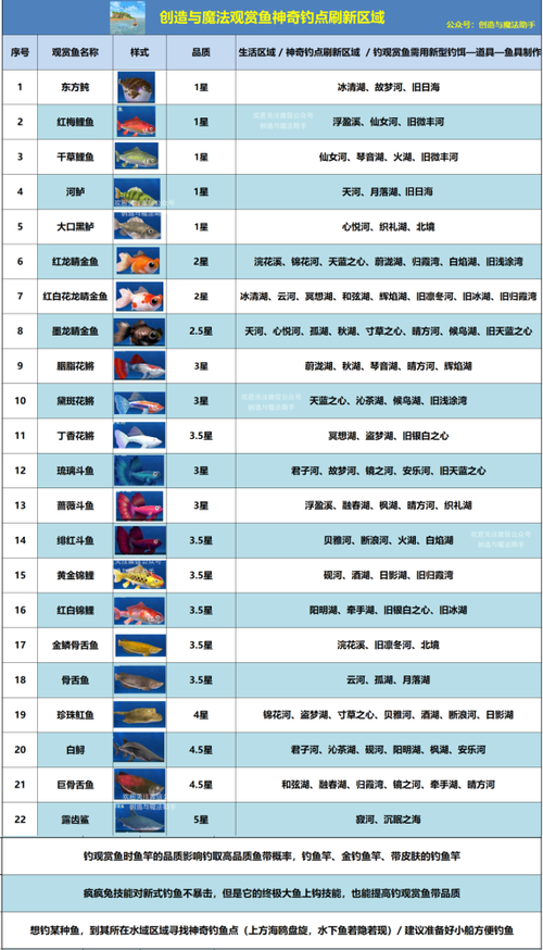 创造与魔法新版钓观赏鱼鱼缸玩法攻略