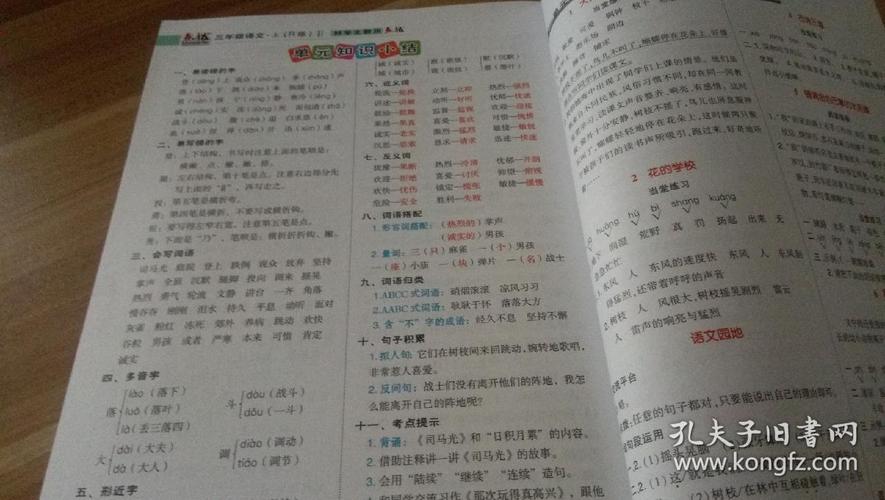 正版现货 点拨三年级语文(上册)(国家统编教材r版)特高级教师专用 (无