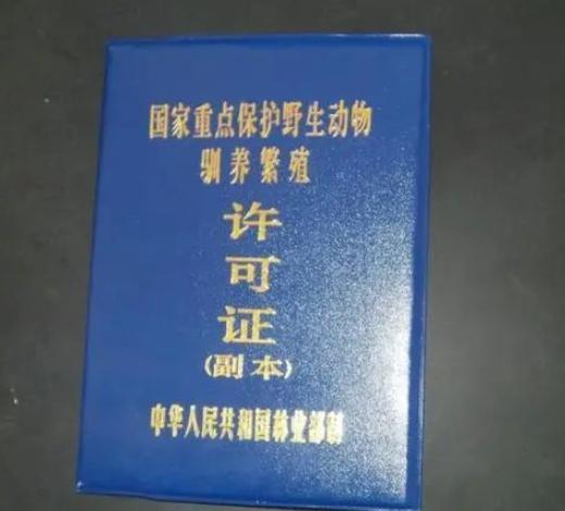 养鹦鹉需要什么证件?