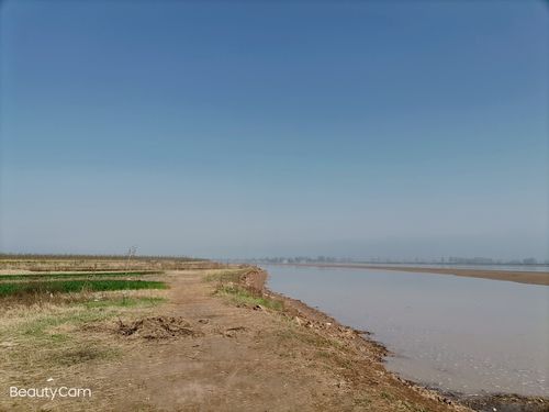 黄河大堤随手拍