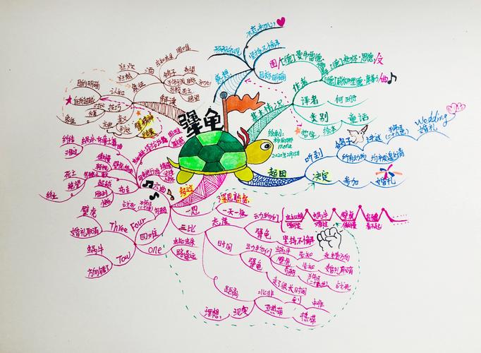 《犟龟》解读(一)