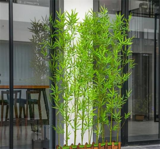 庭院竹子怎么种30款庭院竹子设计案例供你参考