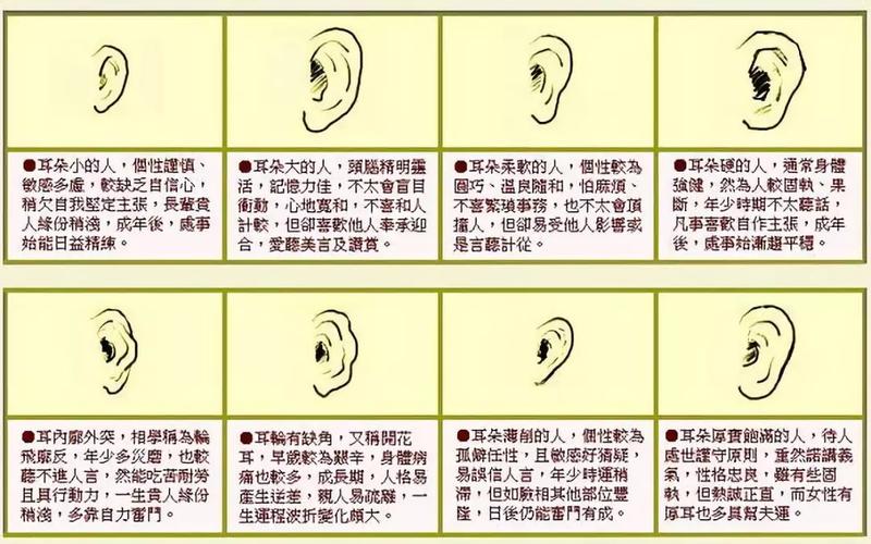 三种耳相一生穷不了,两耳垂肩,贵不可言!