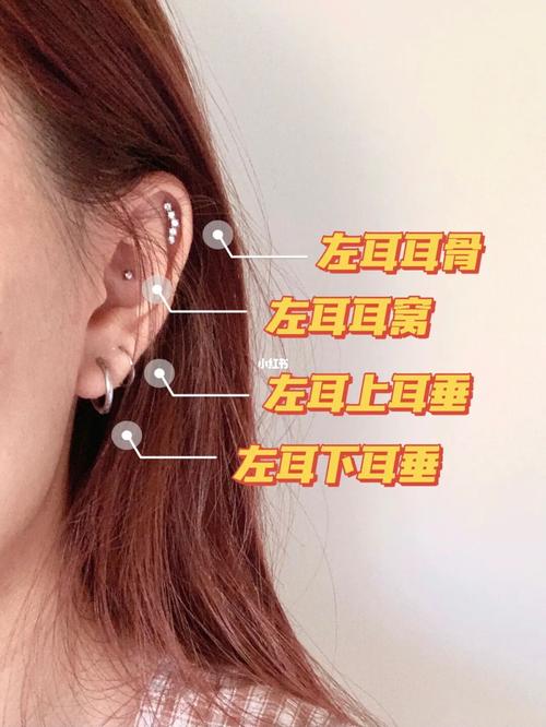 8個耳洞位置分享78_耳洞_耳骨_耳环_打耳洞_时尚