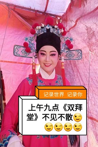 魏小波庐剧