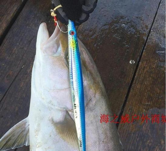 深海船钓铁板饵 300g 250 200 160 海钓路亚饵夜光速沉铁板饵