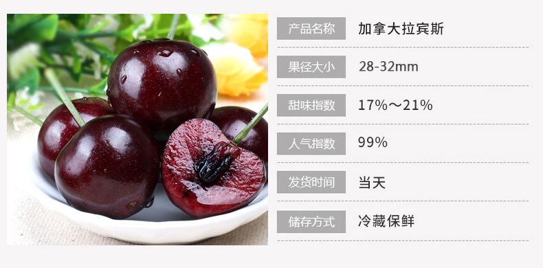 uni加拿大车进口厘子 樱桃预售jj级拉宾斯 新鲜车厘子大樱桃批发