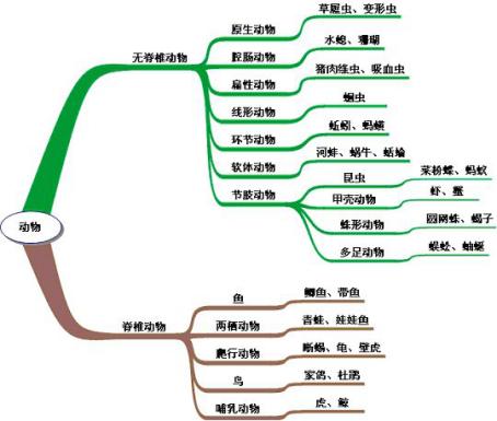 2017公务员联考行测之生物常识考点之生物分类