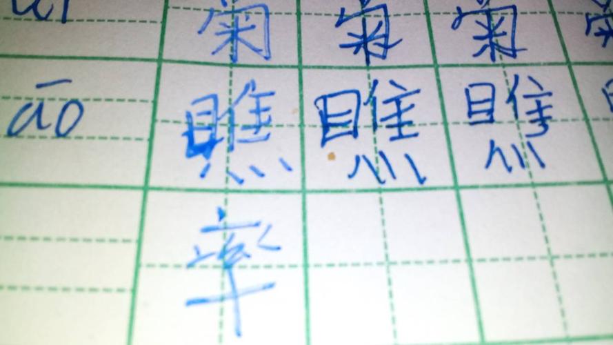 率的读音是什么?