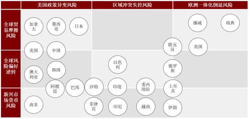 我们分别以"黑天鹅","灰犀牛"为横纵坐标,构建全球主要经济体的风险