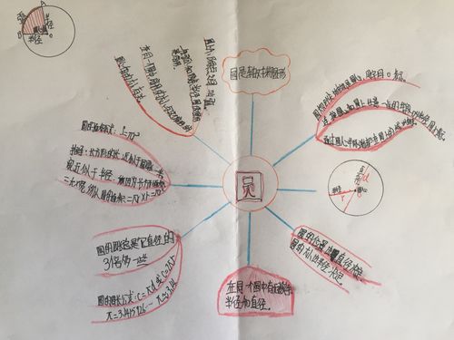 《圆》思维导图