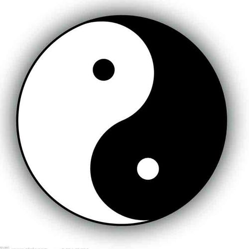 天然蛋白石勾玉吊坠 太极阴阳鱼吊坠 天才宝石之称 正品保证男女