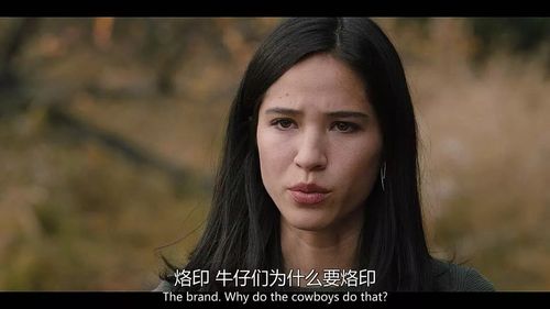 美剧《黄石》这么硬又这么野,怎么可能不爱