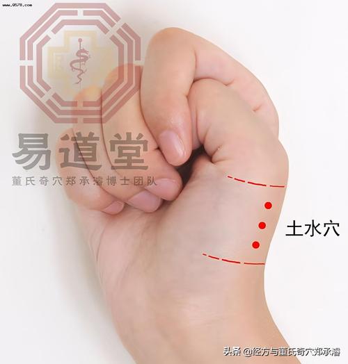 董氏奇穴三叉三穴治疗各类疾患的应用解密