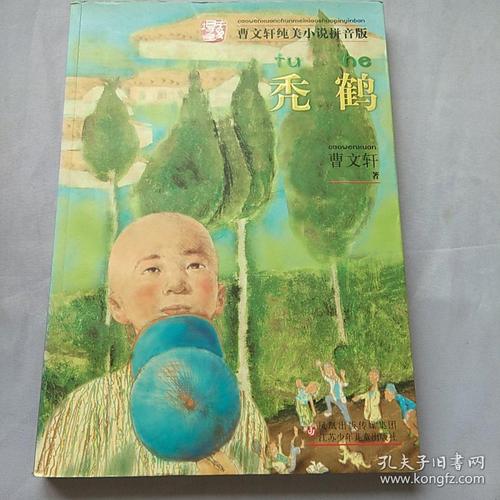 曹文轩纯美小说拼音版·秃鹤