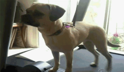 横着走!厉害了!