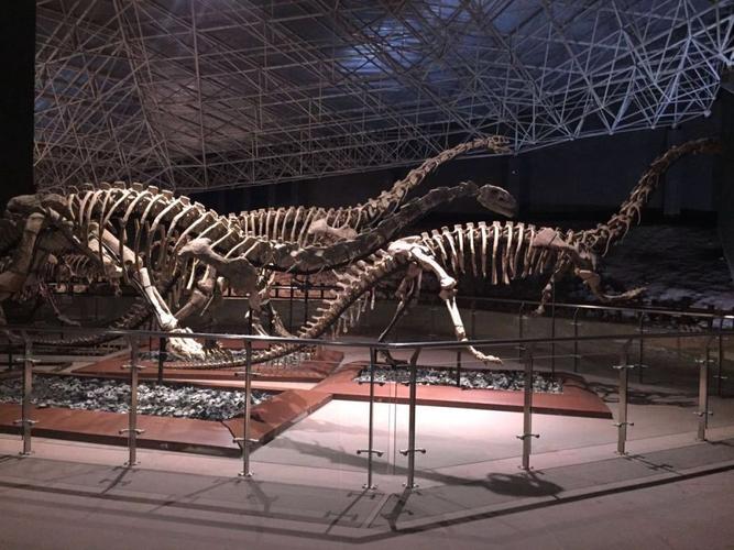 世界恐龙谷的形成居然和一个巨大的陨石坑有关?