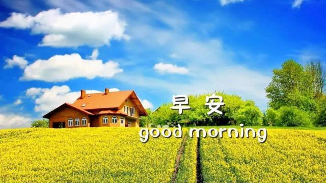 2020最新冬天早安心语精辟励志短句,最漂亮早上好美图