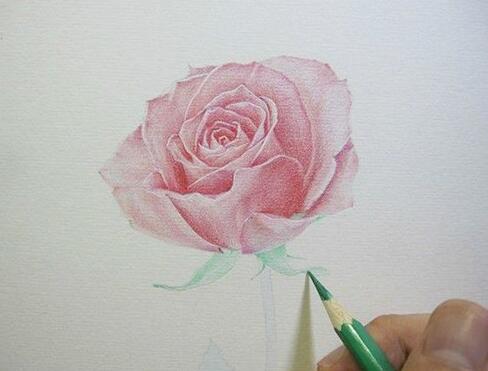 怎样用彩色铅笔画画 彩铅画的绘画步骤