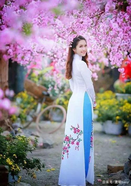 有一种女性的柔美,叫越南奥黛,你喜欢吗?