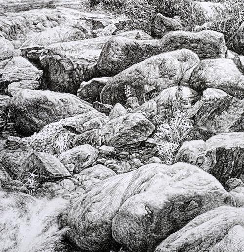 【转载】写实钢笔画怎样画石头? - 牛歌的日志 - 网易