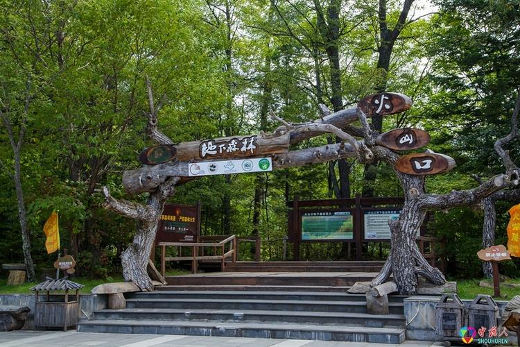 镜泊湖游记——地下森林